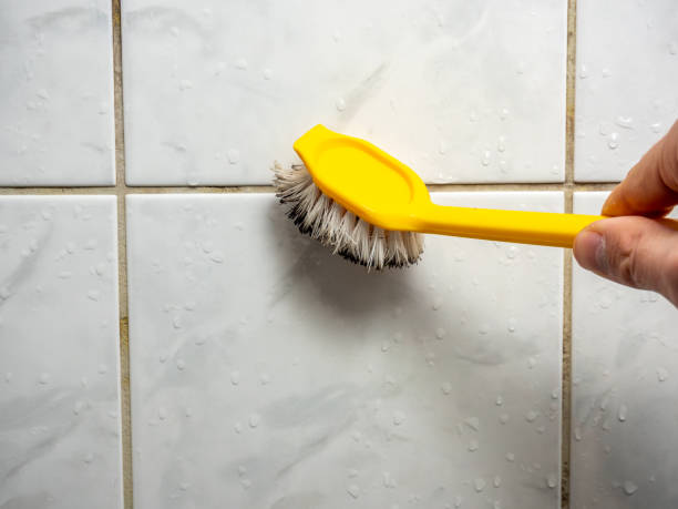Best Mold Removal Company Near Me  in Midland, TX