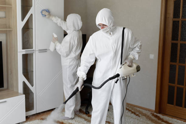 Best Attic Mold Removal  in Midland, TX