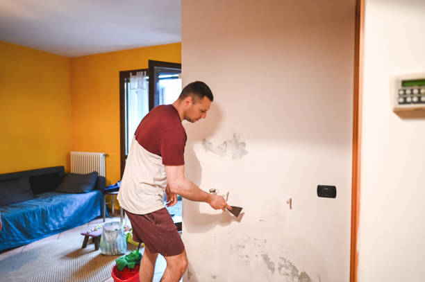 Attic Mold Removal in Midland, TX